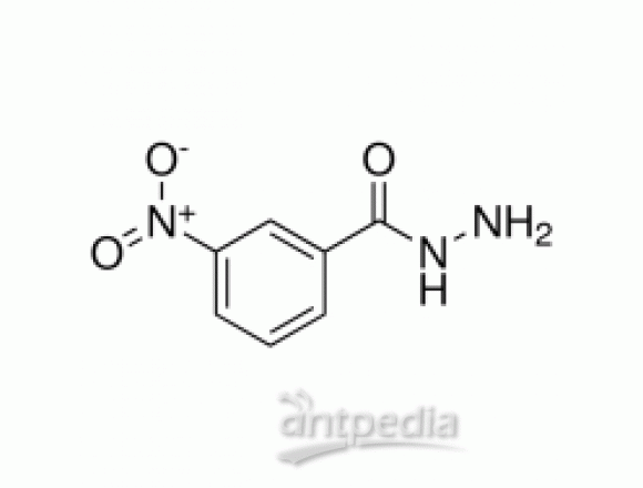 3-硝基苯酰肼