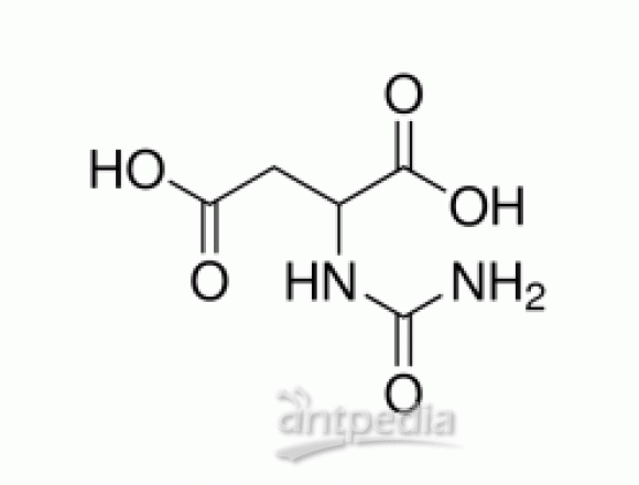 N-氨基甲酰基-DL-天冬氨酸
