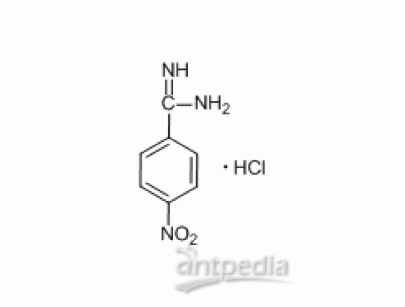4-硝基苯甲脒盐酸盐