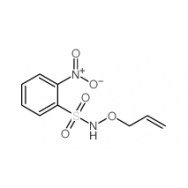 N-(<em>Allyloxy</em>)-2-nitrobenzenesulfonamide