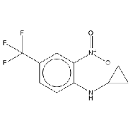 <em>N-Cyclopropyl-2-nitro-4-trifluoromethylaniline</em>