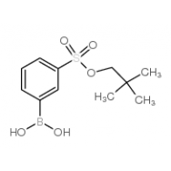 3-(Neopentyloxysulfonyl)<em>phenylboronic</em> <em>acid</em>