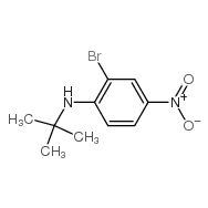 N-t-Butyl <em>2-bromo-4-nitroaniline</em>