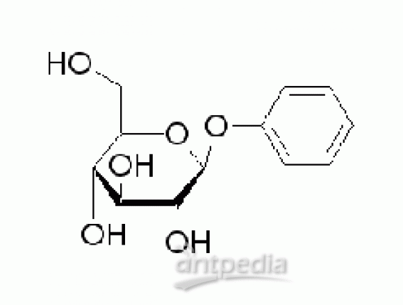 苯基-β-D-葡萄糖苷