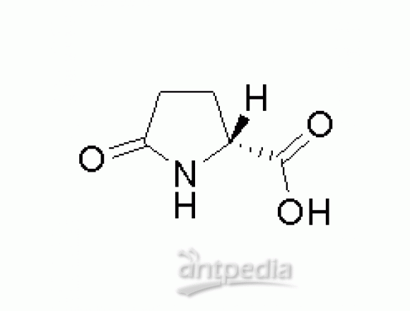 D-焦谷氨酸