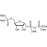 5-磷酰<em>核糖</em>-1-焦磷酸钠盐