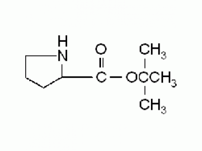 L-脯氨酸叔丁基酯