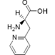 D-3-(<em>2</em>-<em>吡啶基</em>)-丙氨酸