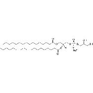 <em>1-palmitoyl-2-linoleoyl-sn-glycero-3</em>-phospho-(<em>1</em>'-rac-<em>glycerol</em>) (sodium salt)