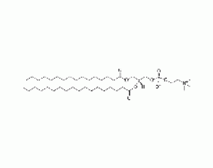 1-palmitoyl-2-stearoyl-sn-glycero-3-phosphocholine
