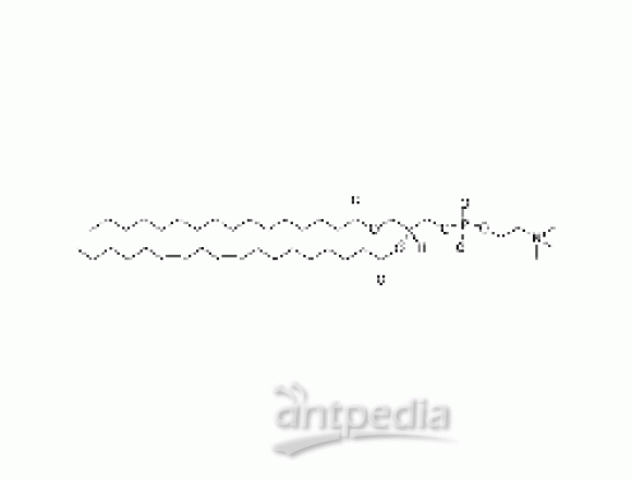 1-palmitoyl-2-linoleoyl-sn-glycero-3-phosphocholine