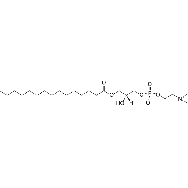 <em>1-pentadecanoyl-2-hydroxy-sn-glycero-3-phosphocholine</em>