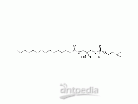1-pentadecanoyl-2-hydroxy-sn-glycero-3-phosphocholine