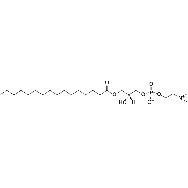 1-棕榈酰-sn-甘油-3-<em>磷酸</em><em>胆碱</em>