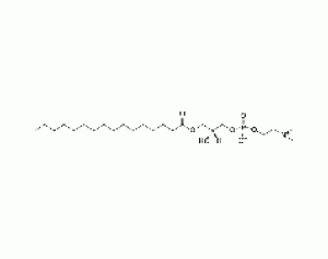 1-棕榈酰-sn-甘油-3-磷酸胆碱