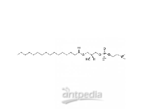 1-棕榈酰-sn-甘油-3-磷酸胆碱