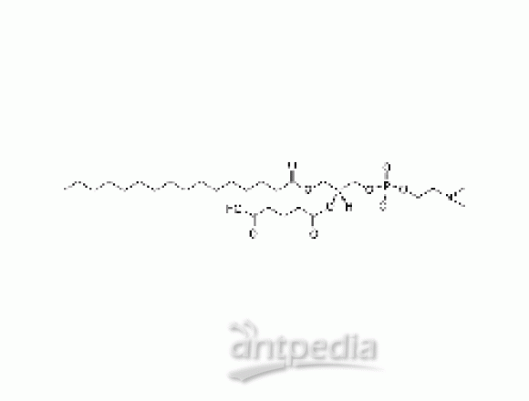 1-palmitoyl-2-glutaryl-sn-glycero-3-phosphocholine