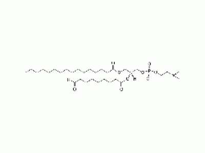 1-palmitoyl-2-(9'-oxo-nonanoyl)-sn-glycero-3-phosphocholine