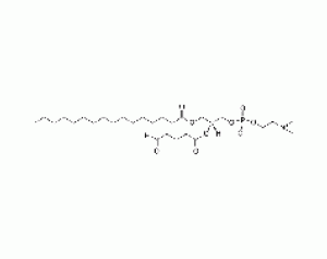 1-palmitoyl-2-(5'-oxo-valeroyl)-sn-glycero-3-phosphocholine