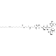 palmitoleoyl Coenzyme A (<em>ammonium</em> <em>salt</em>)