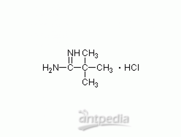 叔丁基胍盐酸盐