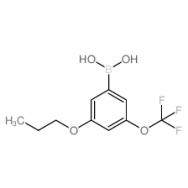3-Propoxy-5-(trifluoromethoxy)<em>phenylboronic</em> <em>acid</em>