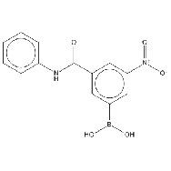 3-(Phenylaminocarbonyl)-5-<em>nitrophenylboronic</em> <em>acid</em>