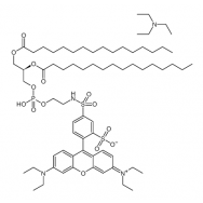 <em>Rhodamine</em> DHPE [<em>Rhodamine</em> B 1,2-dihexadecanoyl-sn-glycero-3- phosphoethanolamine, triethylammonium salt]