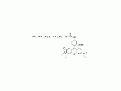 罗丹明 PEG 胺, RB-PEG-NH2