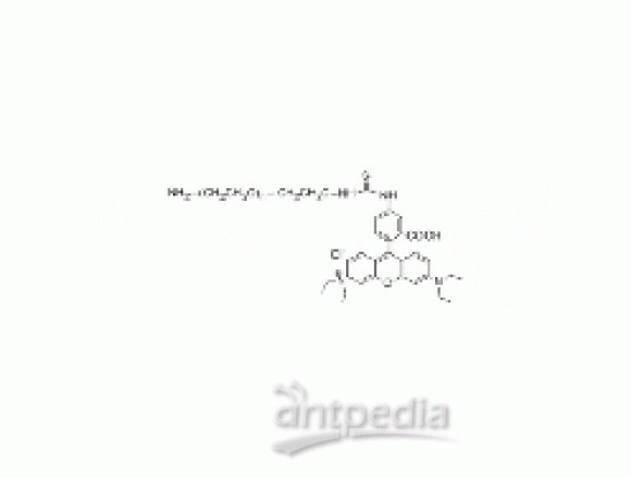 罗丹明 PEG 胺, RB-PEG-NH2