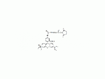 罗丹明 PEG N-羟基琥珀酰亚胺