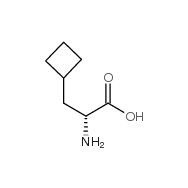 (<em>R</em>)-2-Amino-3-cyclobutylpropanoic <em>acid</em>