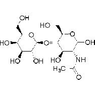N -乙酰- <em>D</em>- 乳糖胺
