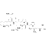 Substance P Fragment 1-7