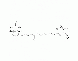N-琥珀酰亚氨基6-生物素氨己酸