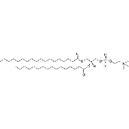 1-stearoyl-2-palmitoyl-sn-glycero-3-<em>phosphocholine</em>