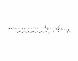1-stearoyl-2-palmitoyl-sn-glycero-3-phosphocholine
