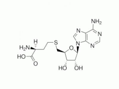 S-(5’-腺苷)-L-高半胱氨酸