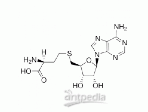 S-(5’-腺苷)-L-高半胱氨酸