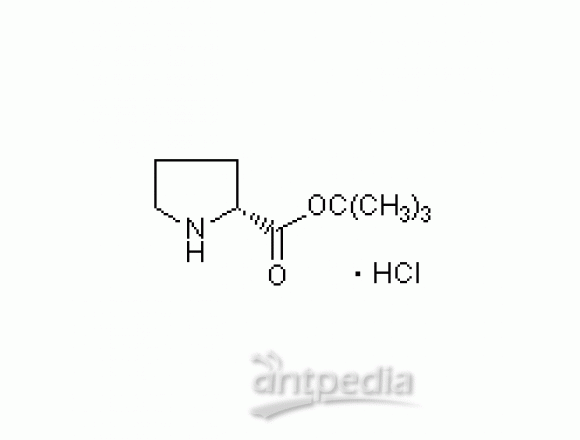 D -脯氨酸叔丁基酯盐酸盐