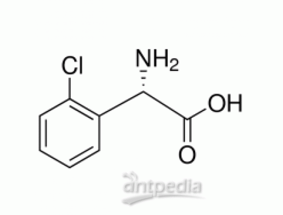 L-(+)-2-(2-氯苯基)甘氨酸