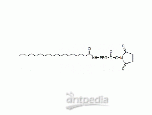 硬脂酸 PEG N-羟基琥珀酰亚胺