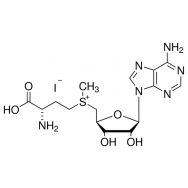 <em>S</em>-(5′-Adenosyl)-L-methionine <em>iodide</em>