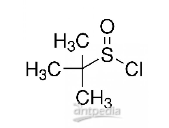 叔丁基亚磺酰氯
