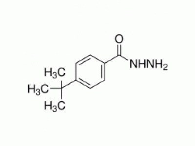4-叔丁基苯甲酰肼