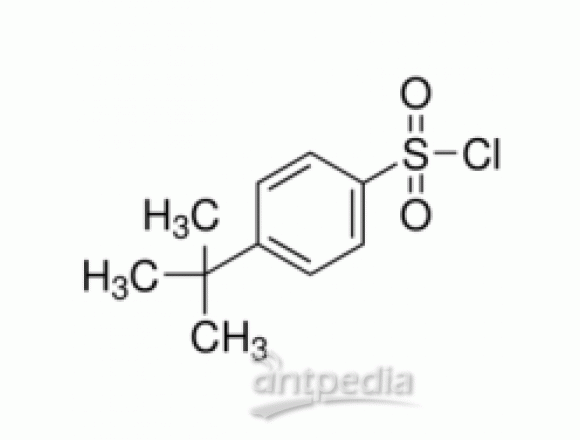 4-叔丁基苯磺酰氯