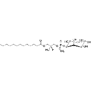 <em>1-tridecanoyl-2-hydroxy-sn-glycero-3-phospho</em>-(<em>1</em>'-<em>myo-inositol</em>) (<em>ammonium</em> <em>salt</em>)