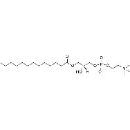 <em>1-tridecanoyl-2-hydroxy-sn-glycero-3</em>-phosphocholine