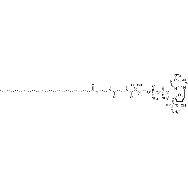 tricosanoyl Coenzyme A (<em>ammonium</em> <em>salt</em>)