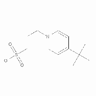 <em>3</em>-(<em>4-tert.-Butyl-1</em>-pyridinio)-<em>1</em>-propanesulfonate